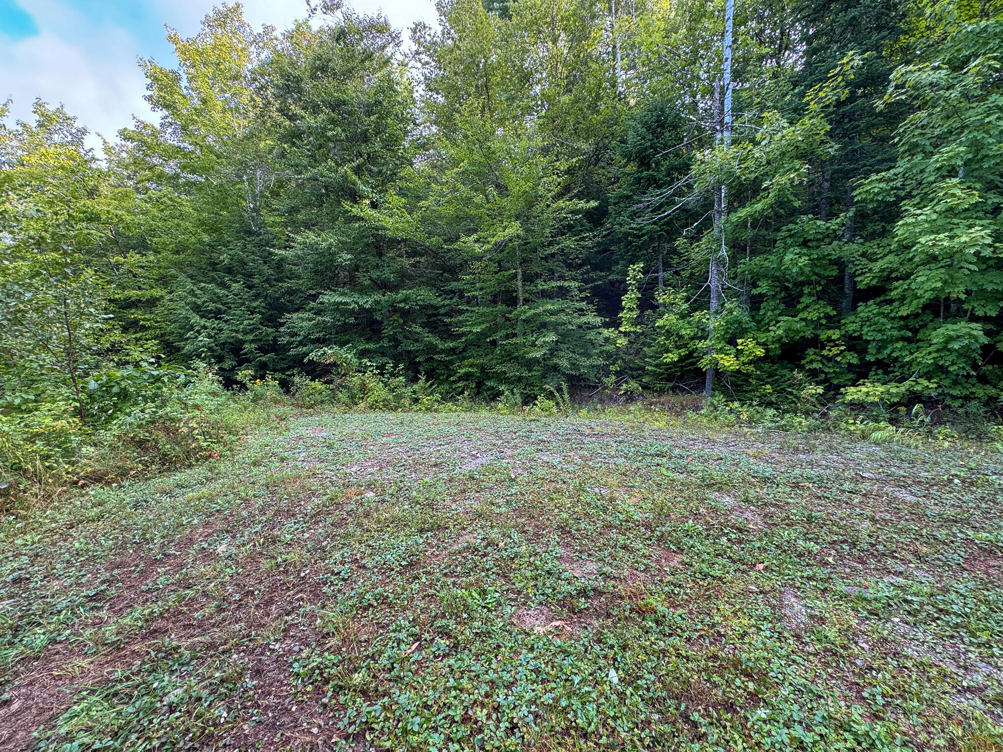 Lot 8-9 Moores Road Springfield, ME 04487 - Photo 12 of 22 12