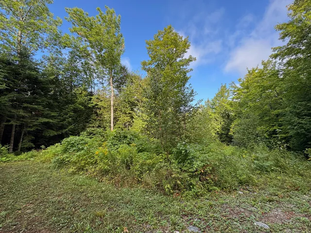 $57,500 | Lot 8-9 Moores Road, Springfield, ME 04487