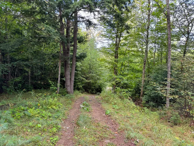 $57,500 | Lot 8-9 Moores Road, Springfield, ME 04487