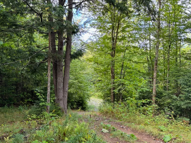 $57,500 | Lot 8-9 Moores Road, Springfield, ME 04487