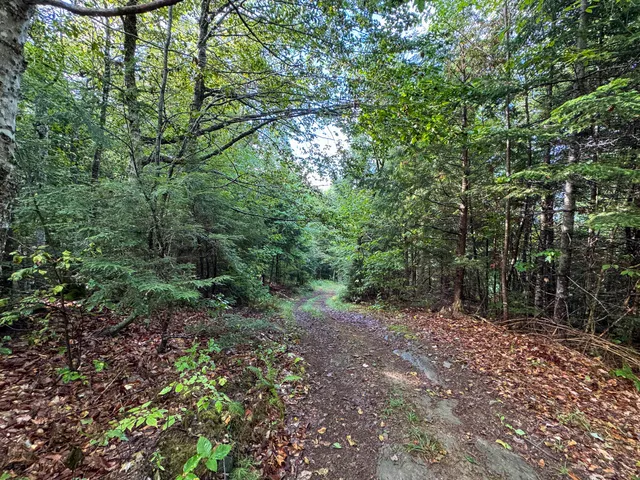 $57,500 | Lot 8-9 Moores Road, Springfield, ME 04487