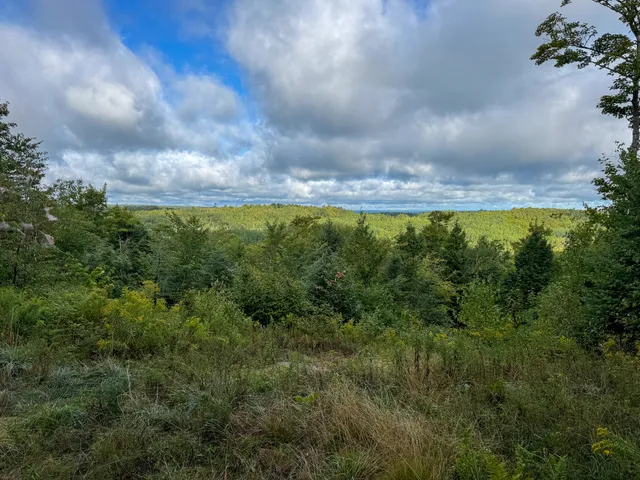 $57,500 | Lot 8-9 Moores Road, Springfield, ME 04487