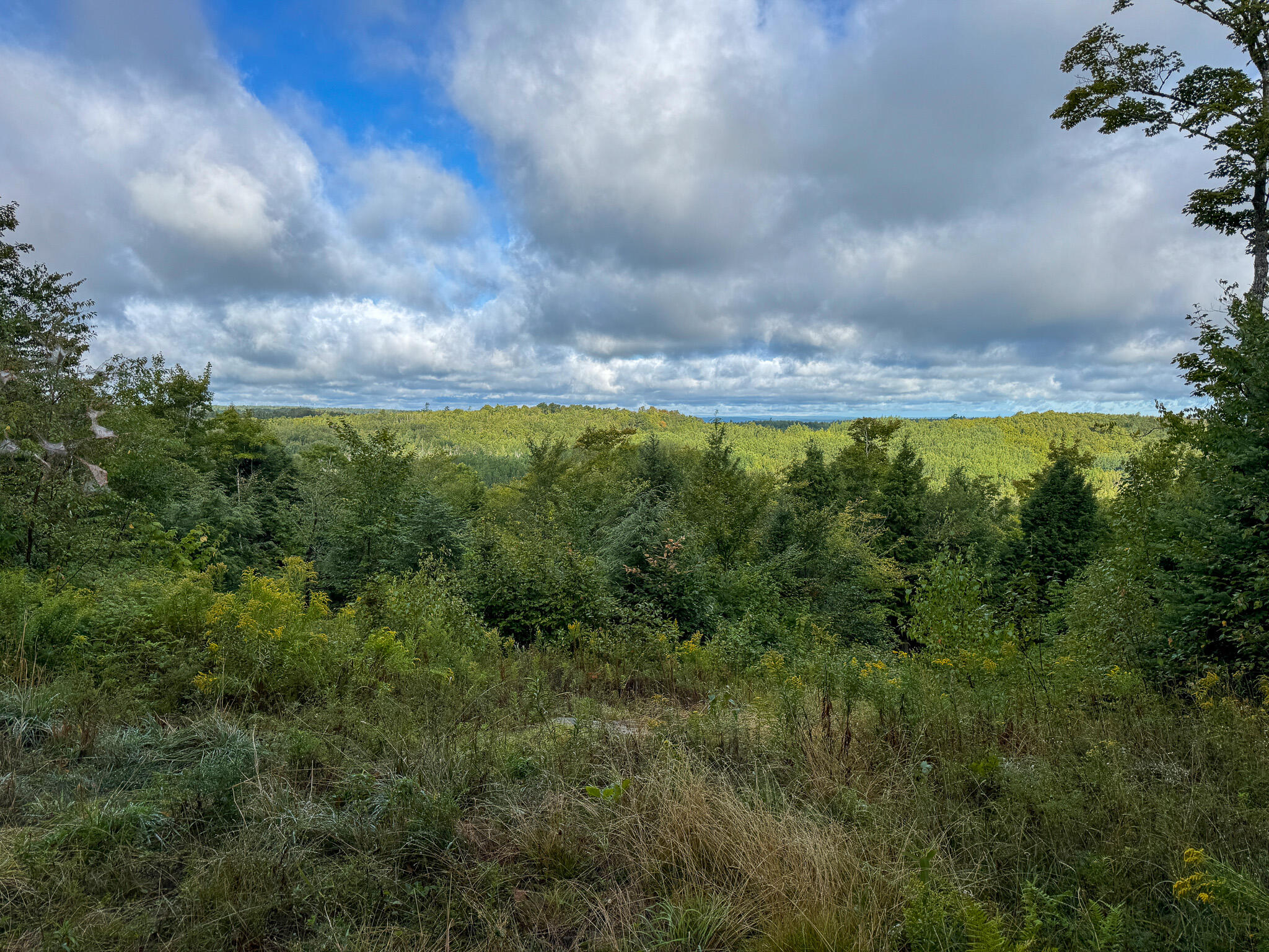 Lot 8-9 Moores Road Springfield, ME 04487 - Photo 19 of 22 19