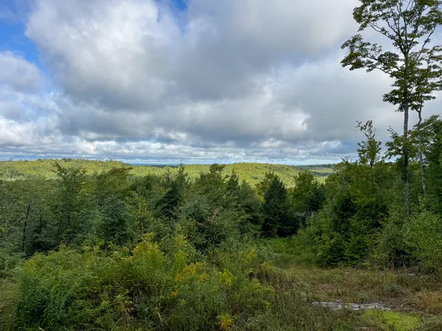 $57,500 | Lot 8-9 Moores Road, Springfield, ME 04487