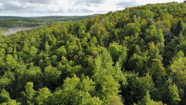 $57,500 | Lot 8-9 Moores Road, Springfield, ME 04487