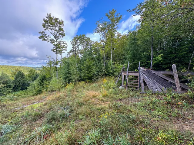 $57,500 | Lot 8-9 Moores Road, Springfield, ME 04487
