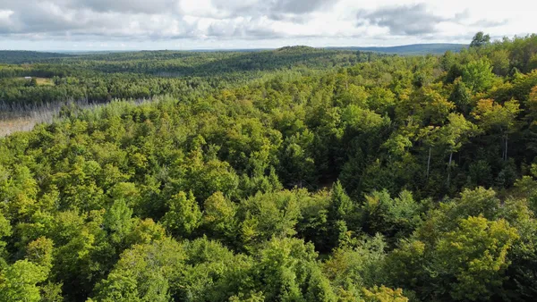 $57,500 | Lot 8-9 Moores Road, Springfield, ME 04487