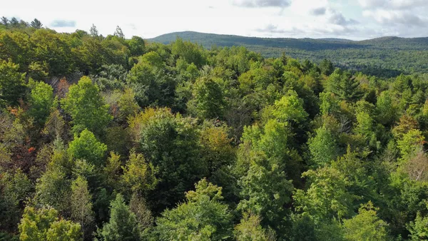 $57,500 | Lot 8-9 Moores Road, Springfield, ME 04487