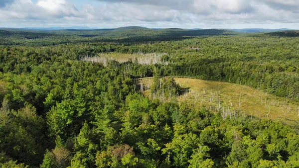 $57,500 | Lot 8-9 Moores Road, Springfield, ME 04487