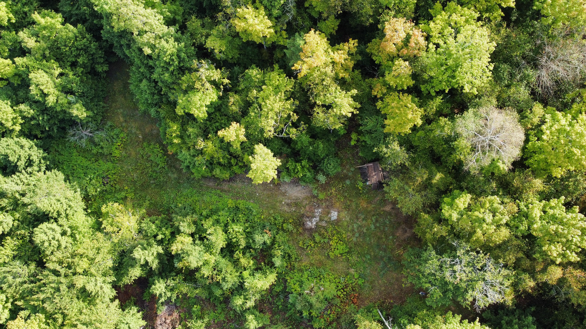 Lot 8-9 Moores Road Springfield, ME 04487 - Photo 7 of 22 7