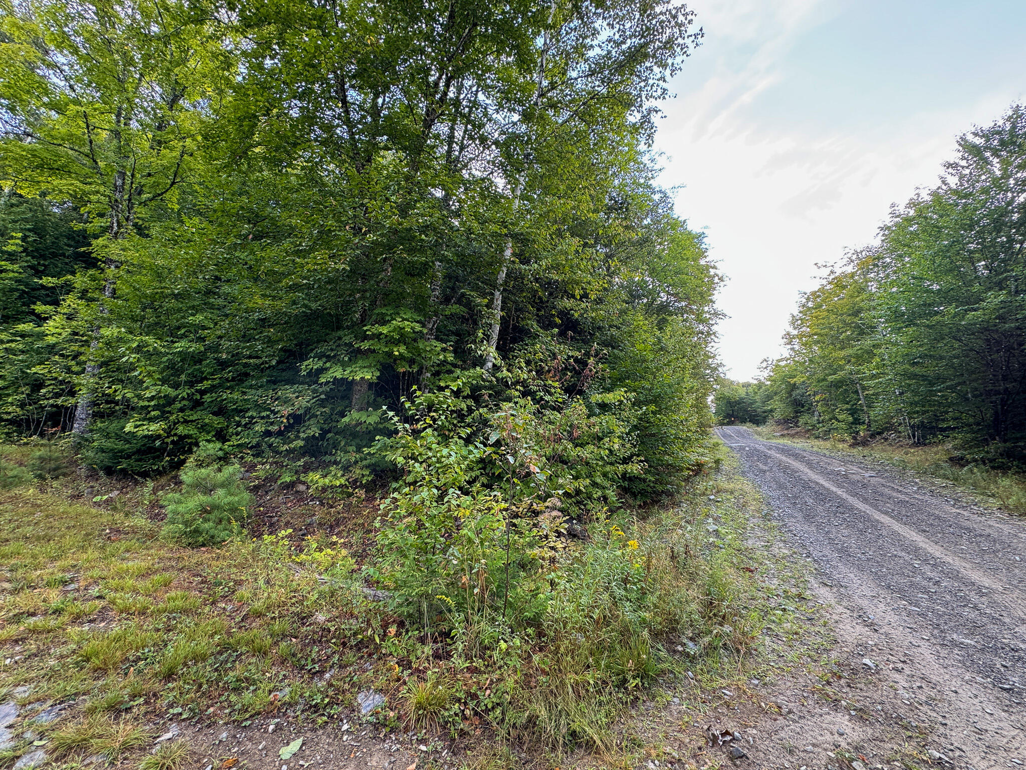 Lot 8-9 Moores Road Springfield, ME 04487 - Photo 9 of 22 9