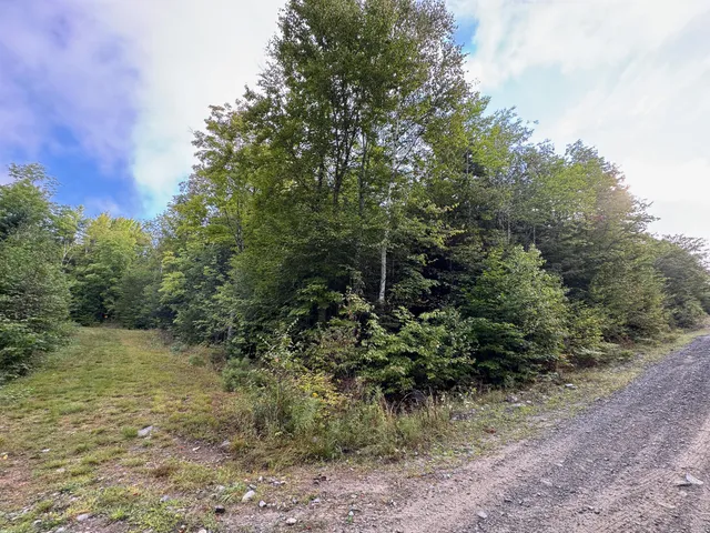 $57,500 | Lot 8-9 Moores Road, Springfield, ME 04487