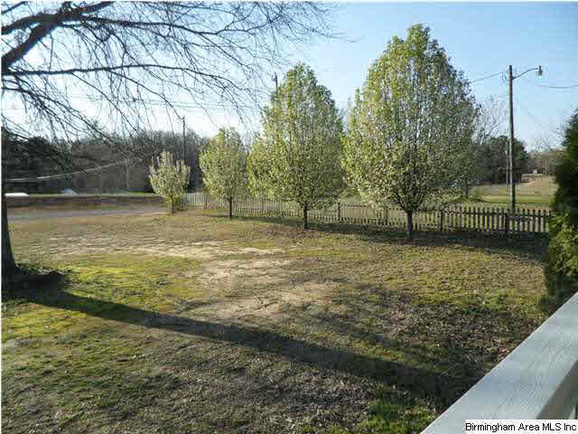 9361 Tingle Cut Off Road Dora, AL 35062 - Photo 18 of 18