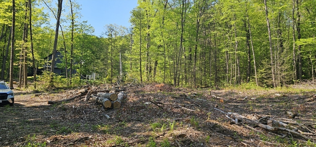 12 Carey Road Sturbridge, MA 01566 - Photo 5 of 14