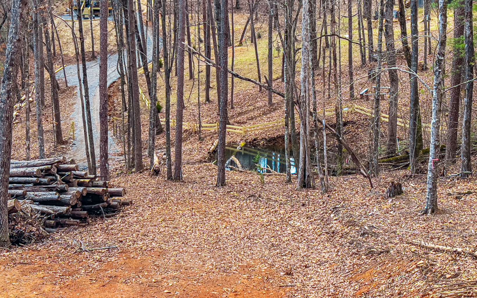 1.34 A Laurel Branch Blue Ridge, GA 30513 - Photo 12 of 36 Additional View