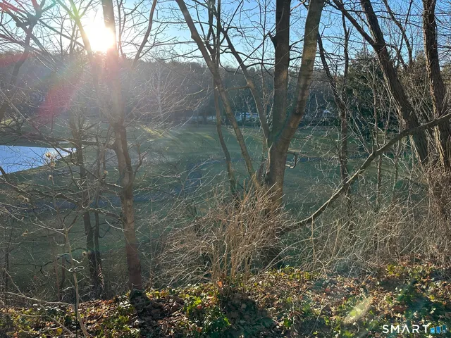 a view of a forest with a yard