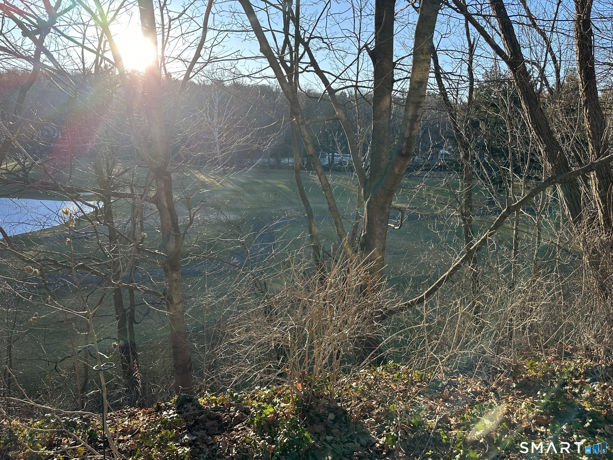 55 Porter Avenue, Unit 6E Naugatuck, CT 06770 - Photo 12 of 12 a view of a forest with a yard