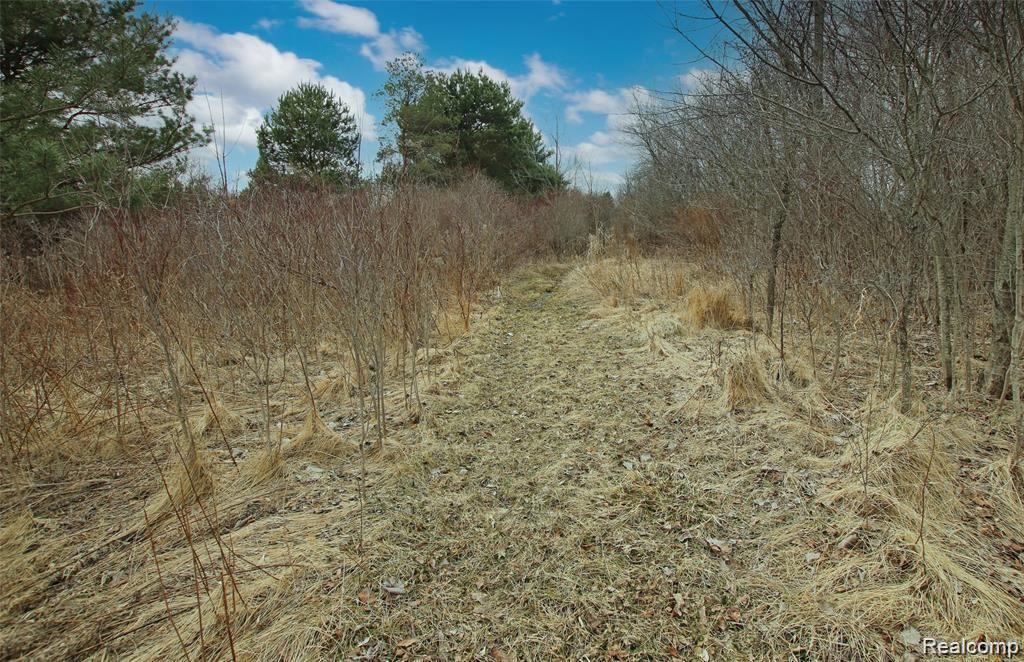 7037 Dutch Road Goodrich, MI 48438 - Photo 88 of 93 88) Backyard Trails.jpg