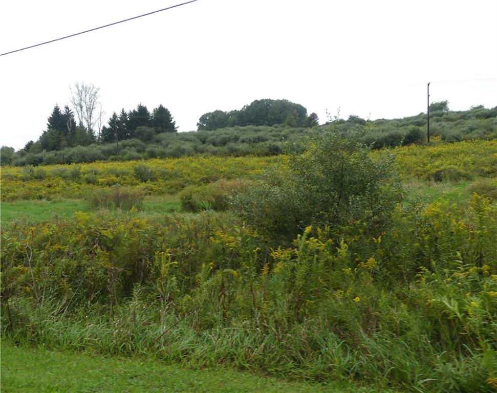 217 Kunkle Road Kittanning, PA 16201 - Photo 10 of 12