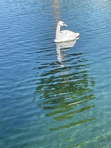 a view of a lake with boats