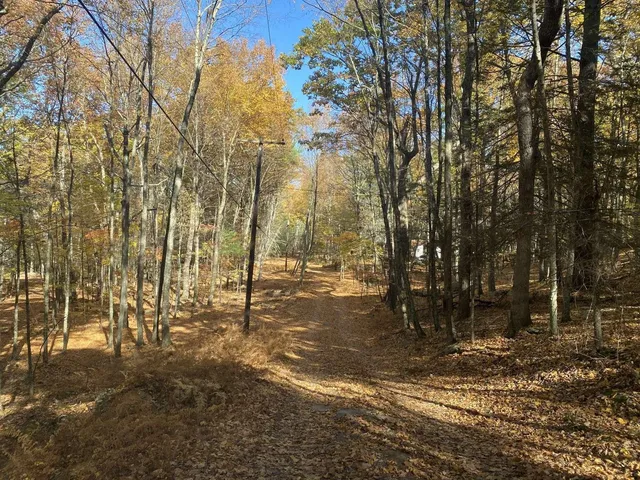a view of a yard with trees