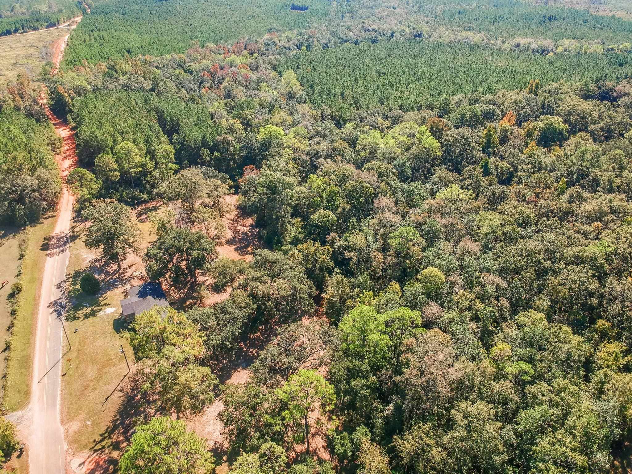 18990 Old Davison Road Bay Minette, AL 36507 - Photo 31 of 33