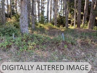 36359 Timber Ridge Road The Sea Ranch, CA 95497 - Photo 11 of 41 a view of outdoor space with signage and flags