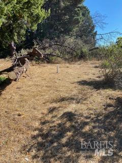 36359 Timber Ridge Road The Sea Ranch, CA 95497 - Photo 12 of 41 a view of a yard with trees