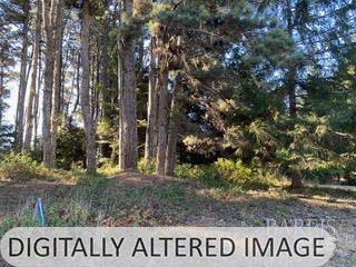 36359 Timber Ridge Road The Sea Ranch, CA 95497 - Photo 13 of 41 a view of outdoor space with signage and flags