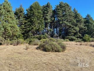 36359 Timber Ridge Road The Sea Ranch, CA 95497 - Photo 16 of 41 a view of a yard covered in snow