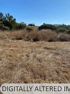 36359 Timber Ridge Road The Sea Ranch, CA 95497 - Photo 17 of 41