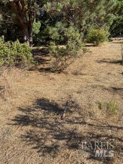 36359 Timber Ridge Road The Sea Ranch, CA 95497 - Photo 18 of 41 a view of ocean view