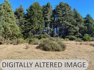 36359 Timber Ridge Road The Sea Ranch, CA 95497 - Photo 19 of 41 a view of a sign of a park