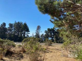36359 Timber Ridge Road The Sea Ranch, CA 95497 - Photo 20 of 41 a view of a yard