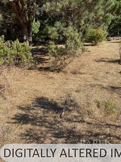 36359 Timber Ridge Road The Sea Ranch, CA 95497 - Photo 21 of 41