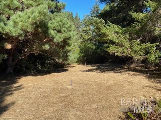 36359 Timber Ridge Road The Sea Ranch, CA 95497 - Photo 22 of 41 a view of yard covered with snow in outdoor space