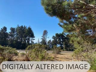 36359 Timber Ridge Road The Sea Ranch, CA 95497 - Photo 23 of 41 a view of outdoor space with signage and flags