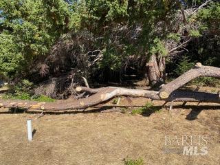 36359 Timber Ridge Road The Sea Ranch, CA 95497 - Photo 24 of 41 a view of a backyard of white house