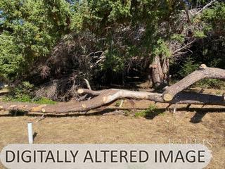 36359 Timber Ridge Road The Sea Ranch, CA 95497 - Photo 27 of 41