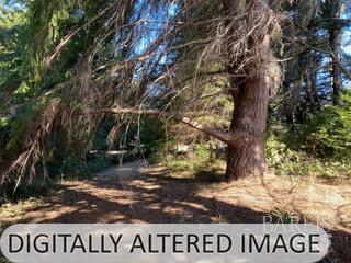 36359 Timber Ridge Road The Sea Ranch, CA 95497 - Photo 29 of 41 a view of outdoor space with sign board and trees