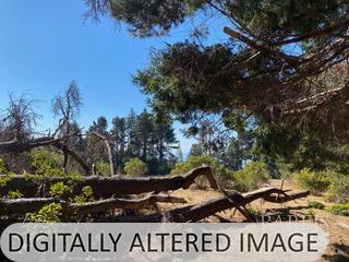 36359 Timber Ridge Road The Sea Ranch, CA 95497 - Photo 31 of 41 a view of a sign board
