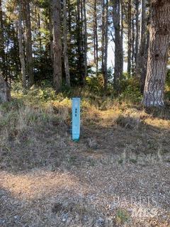 36359 Timber Ridge Road The Sea Ranch, CA 95497 - Photo 36 of 41 a view of a yard with trees