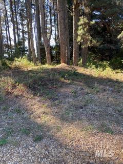 36359 Timber Ridge Road The Sea Ranch, CA 95497 - Photo 40 of 41 a view of outdoor space with trees