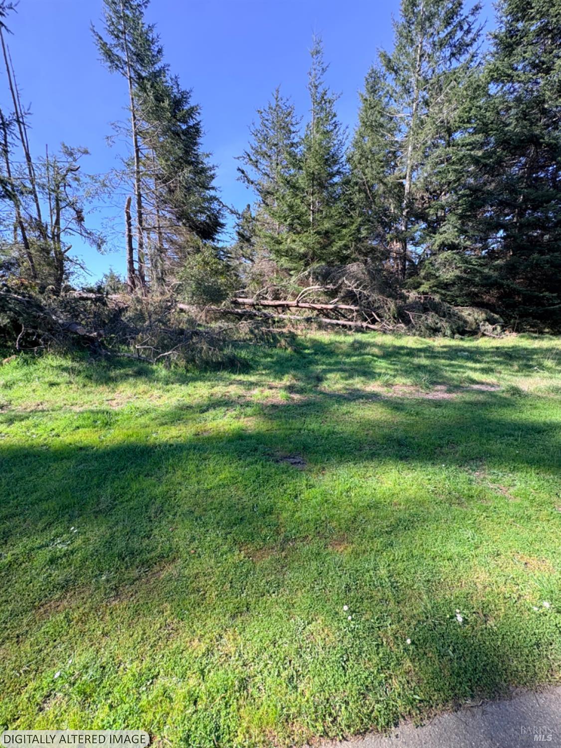 36359 Timber Ridge Road The Sea Ranch, CA 95497 - Photo 4 of 41 a view of a golf course with a park