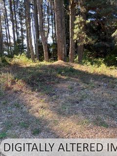 36359 Timber Ridge Road The Sea Ranch, CA 95497 - Photo 41 of 41 a view of outdoor space with sign board