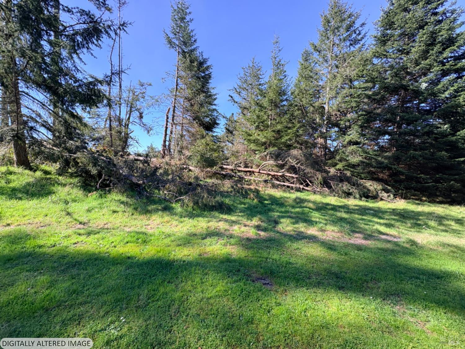 36359 Timber Ridge Road The Sea Ranch, CA 95497 - Photo 5 of 41 a view of a garden