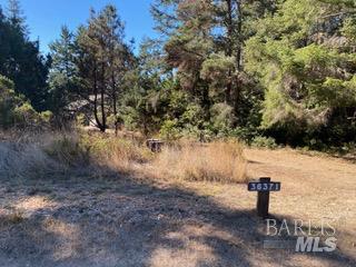 36359 Timber Ridge Road The Sea Ranch, CA 95497 - Photo 6 of 41 a view of a yard