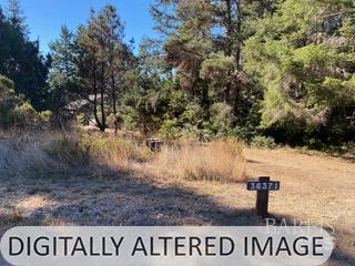 36359 Timber Ridge Road The Sea Ranch, CA 95497 - Photo 9 of 41 a view of street sign