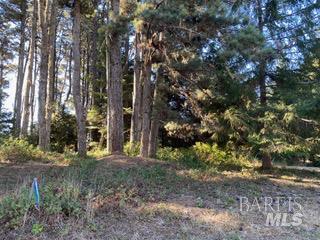 36359 Timber Ridge Road The Sea Ranch, CA 95497 - Photo 10 of 41 a backyard of a house with lots of green space