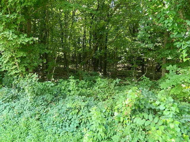 0 Bethesda Road College Grove, TN 37046 - Photo 1 of 3 Gallery Image 1